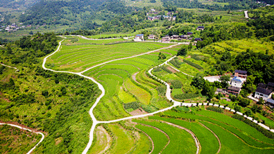 “镇”兴关键词⑤| 重庆市綦江区石角镇:多元产业引活水山乡“蝶变”焕新生 666