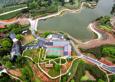 “镇”兴关键词⑤| 重庆市綦江区石角镇:多元产业引活水山乡“蝶变”焕新生 1753351030172