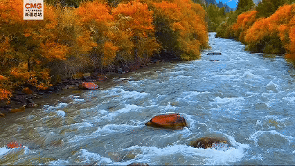 新疆特克斯：喀拉峻峡谷“秋日穿搭”已更新！