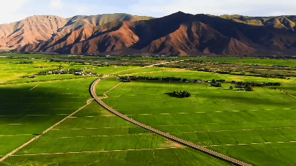 青稞“蜕变”,牦牛“出圈”!看西藏农牧民的“十四五”丰收答卷 青稞“蜕变”,牦牛“出圈”!看西藏农牧民的“十四五”丰收答卷