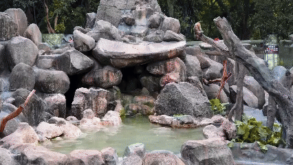 为了这届全运会，你不知道广州有多拼