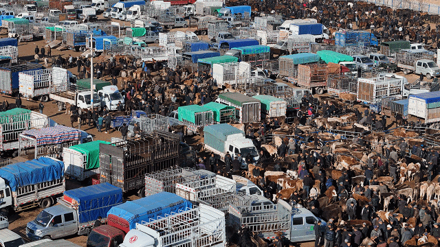 在新疆的巴扎 他们是连接牧场和市场的“纽带”