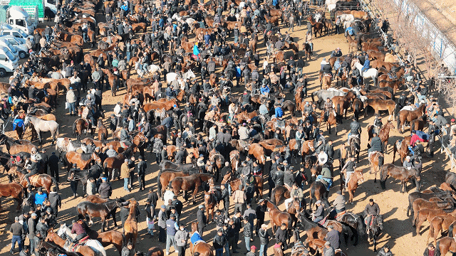 在新疆的巴扎 他们是连接牧场和市场的“纽带”