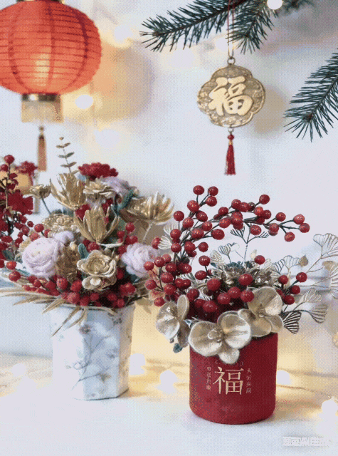 GIF_20260101_095231.gif