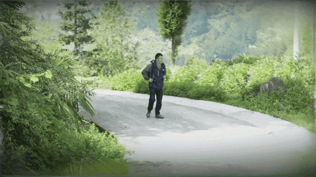 在希望的田野上 | 千寻百“蜜”十八年 带着老乡赚甜钱