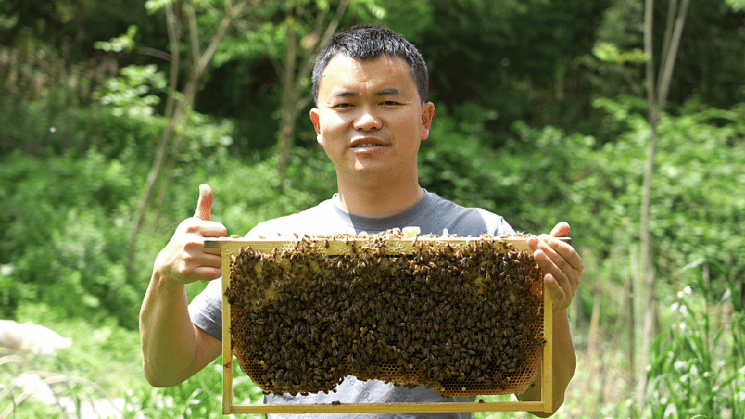 在希望的田野上 | 千寻百“蜜”十八年 带着老乡赚甜钱 微笑.gif