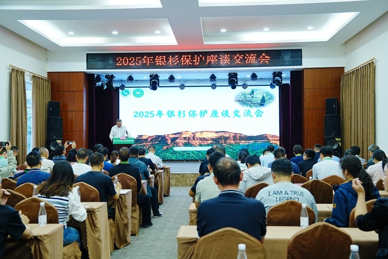 专家齐聚重庆共探银杉保护路径 成立联盟推动科研与实践协同