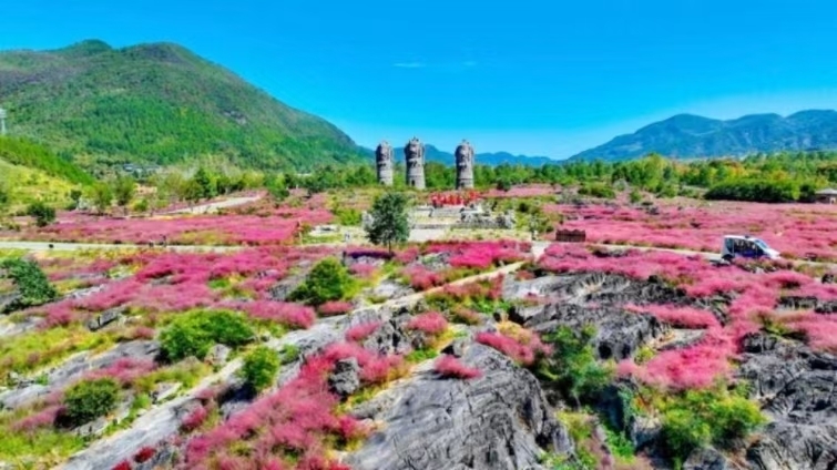 重庆“十四五”以来累计治理岩溶石漠化土地10.27万公顷