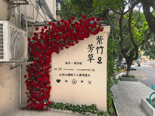 成都高新芳草街街道：以垃圾分类撬动全域人居环境升级