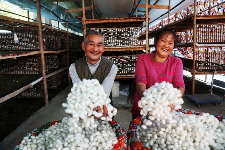 全产业链价值突破20亿元 重庆蚕桑产业吸引众多农民工返乡创业