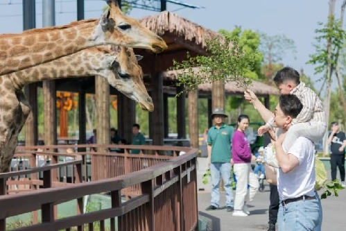 渝黔高铁通联川湘 湖南常德携野生动物世界与特色美食赴渝推介