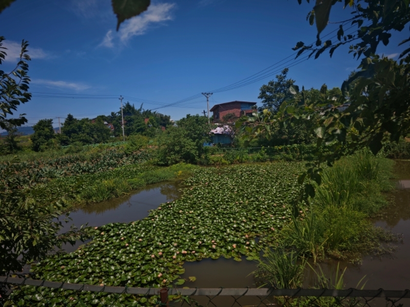 重庆公布首批25个市级“小微湿地+”名录