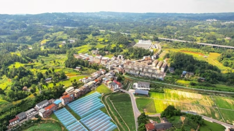 “镇”兴关键词⑥|重庆市南川区河图镇：集体经济化零为整 农旅融合点“绿”成金