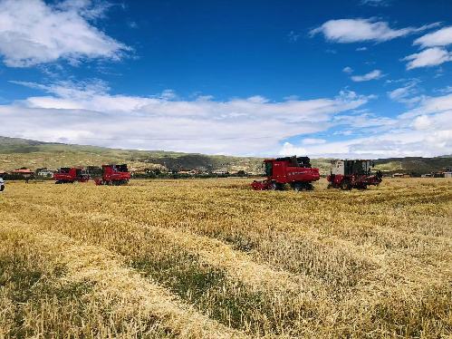 四川甘孜州甘孜县：以科技破局传统农业“靠天吃饭”