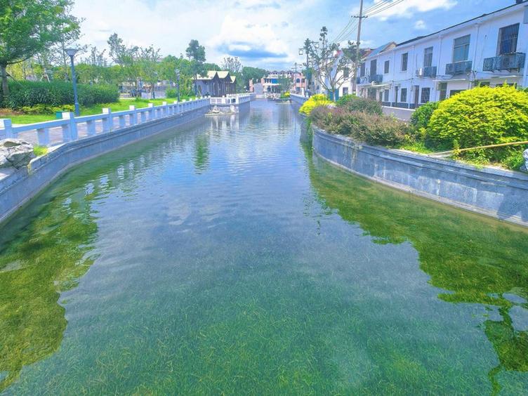 水清河畅映江南：江苏常州戚墅堰万安河的生态蜕变记