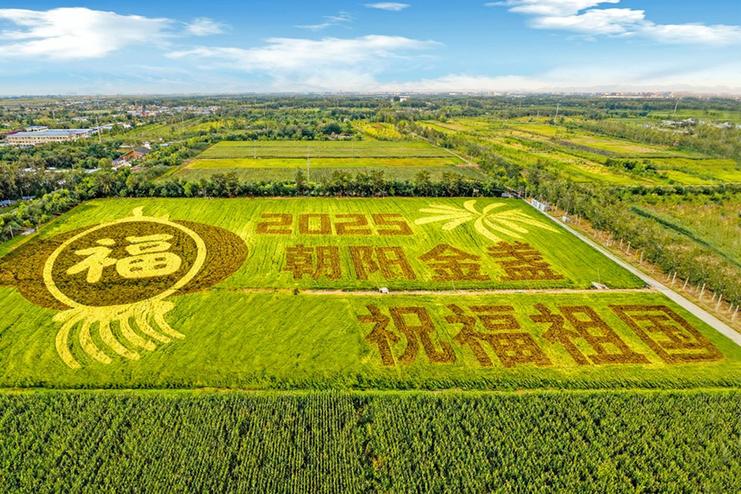 国庆76周年：金盏乡稻田画绘就“希望田野”，空中视角解锁金秋观览新体验
