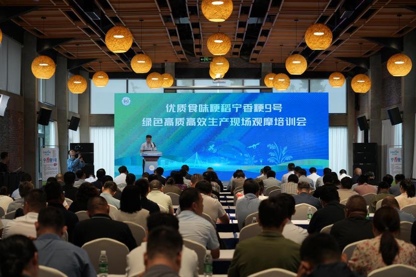江苏省优质食味粳稻宁香粳9号绿色高质高效生产现场观摩培训会举行
