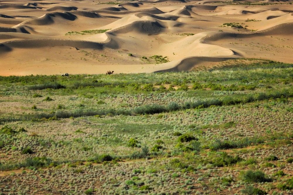 乌兰布和沙漠的 “意外之喜”:荒沙变生态乐园 乌兰布和沙漠的 “意外之喜”:荒沙变生态乐园