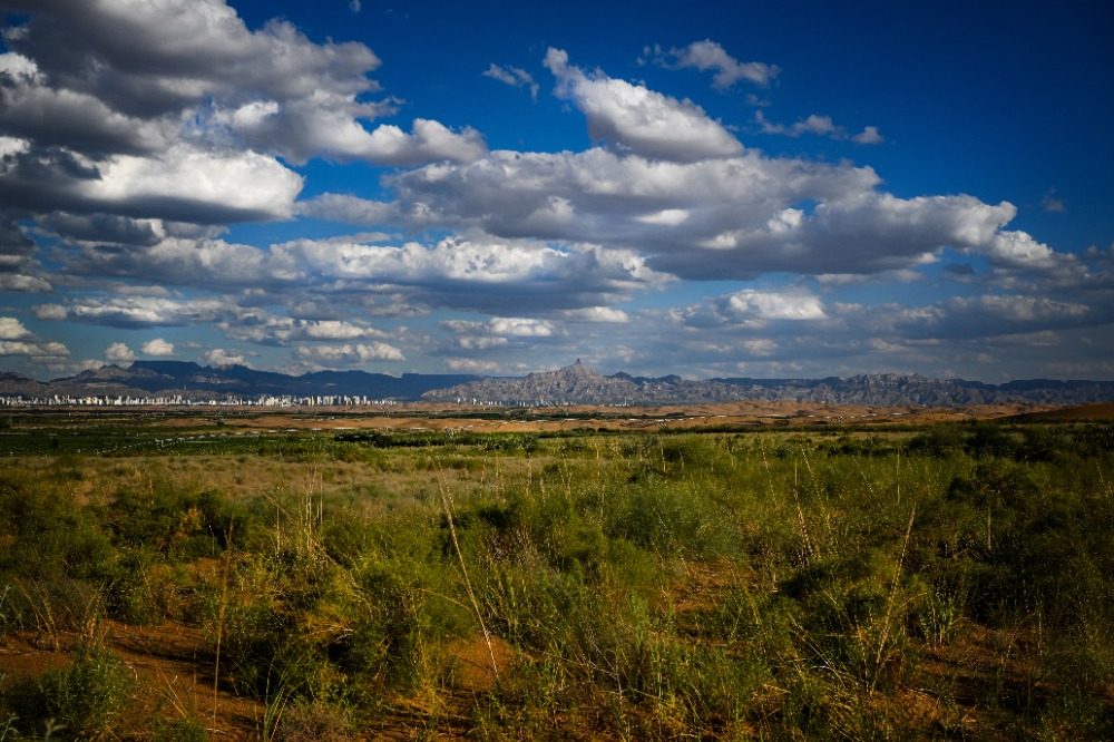 乌兰布和沙漠的 “意外之喜”:荒沙变生态乐园 乌兰布和沙漠的 “意外之喜”:荒沙变生态乐园