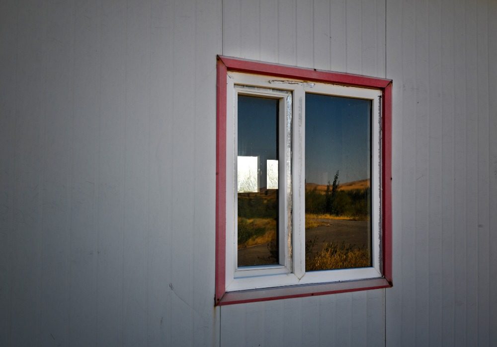 乌兰布和沙漠的 “意外之喜”:荒沙变生态乐园 乌兰布和沙漠的 “意外之喜”:荒沙变生态乐园