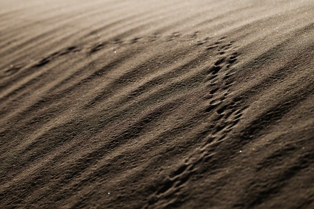 乌兰布和沙漠的 “意外之喜”:荒沙变生态乐园 乌兰布和沙漠的 “意外之喜”:荒沙变生态乐园