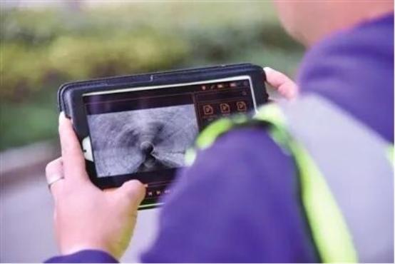 90.11分！宁波镇海生态环境满意度创历史新高