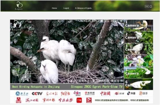 90.11分！宁波镇海生态环境满意度创历史新高