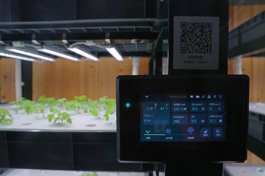 鸭稻共作、水培种植、无人机植保……浒墅关智慧农业新图景