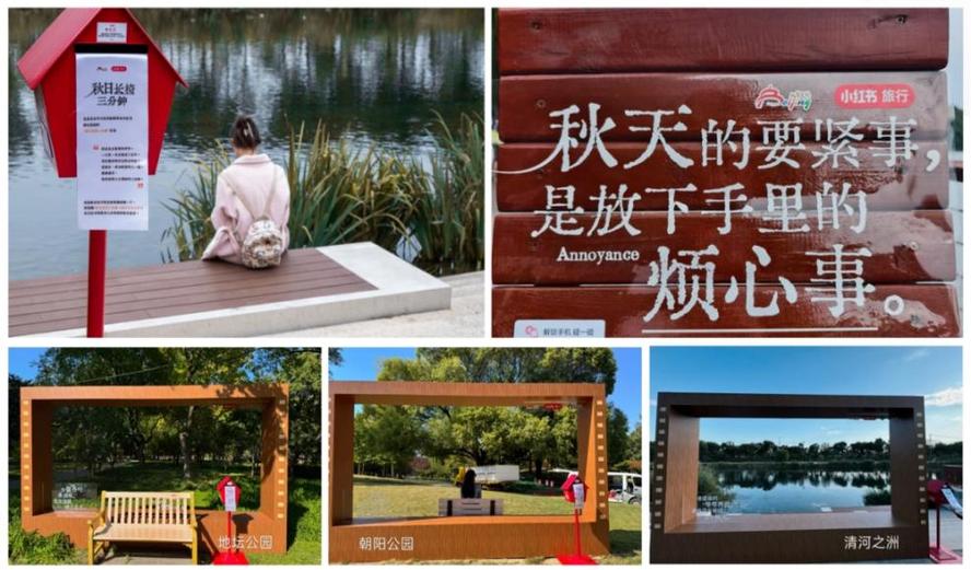 北京的秋来了！200张秋日长椅和秋日散步美学路线等你打卡