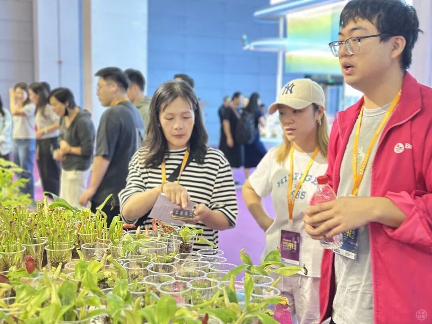 无锡举办2025中花大会 2.4万平方米展区呈现花卉产业新图景