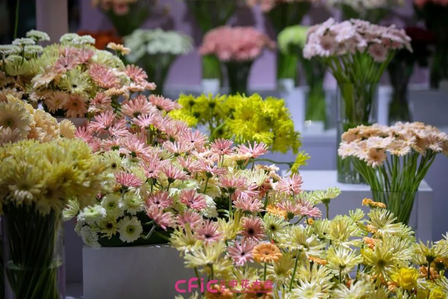 无锡举办2025中花大会 2.4万平方米展区呈现花卉产业新图景