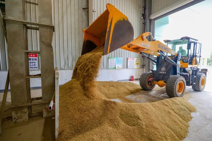 南京江宁：水稻收割基本结束 各类新米成市民“心头好”