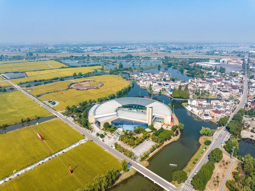 南京江宁：水稻收割基本结束 各类新米成市民“心头好”