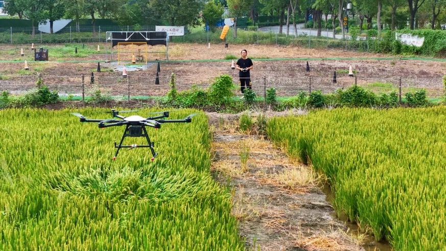 新增无人机基地 苏州浒墅关“低空”飞向更高处