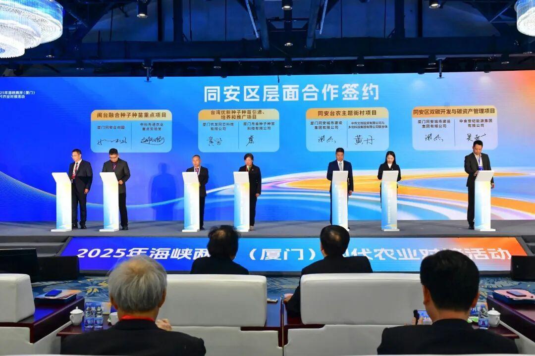 300余嘉宾齐聚福建同安，共绘两岸融合好“丰”景