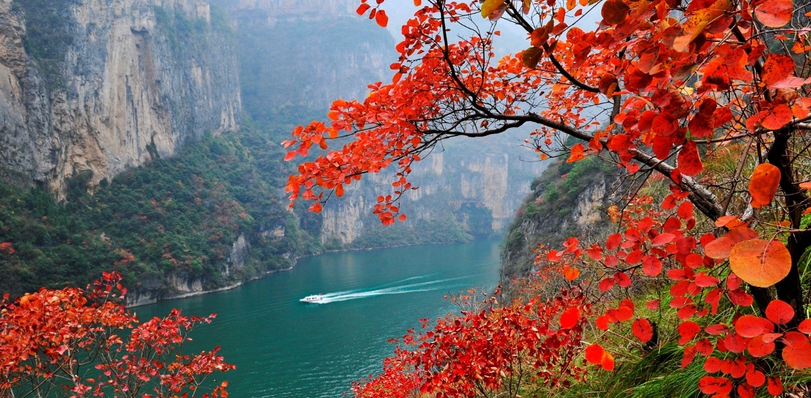 十年守护绘青绿 重庆以系统治理书写长江生态保护答卷