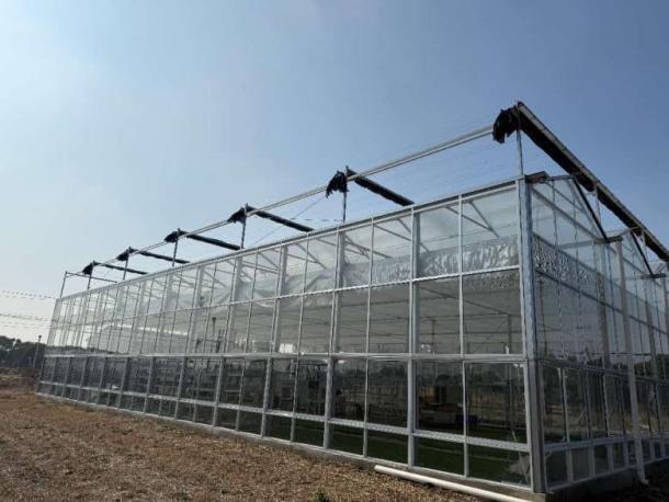 江苏江阴顾山镇：一颗桃，激活产业强镇 “一池春水”