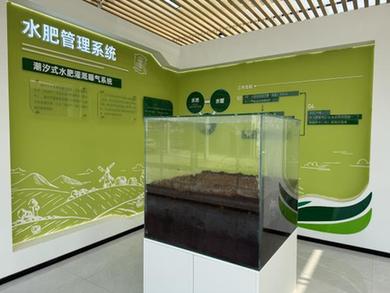 江苏江阴顾山镇：一颗桃，激活产业强镇 “一池春水”