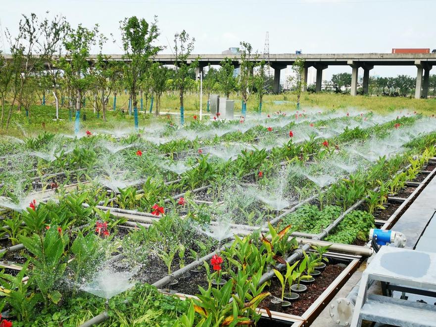 三年攻坚绘就碧水长卷 江宁治水赋能民生福祉