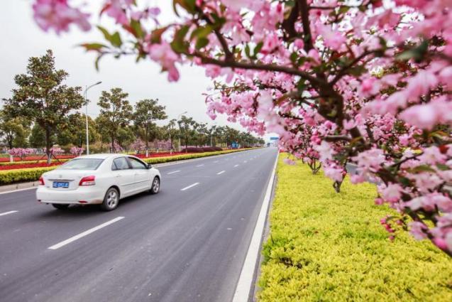 岁月巡路：一条路的四季回想