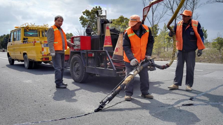 岁月巡路：一条路的四季回想