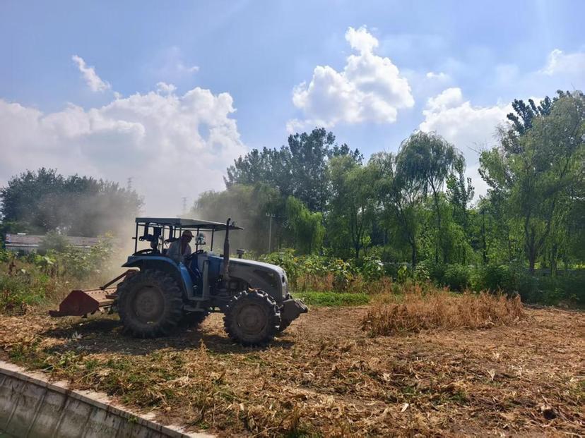 扬州瓜洲镇：走，下地去！春耕“大片”正在上演
