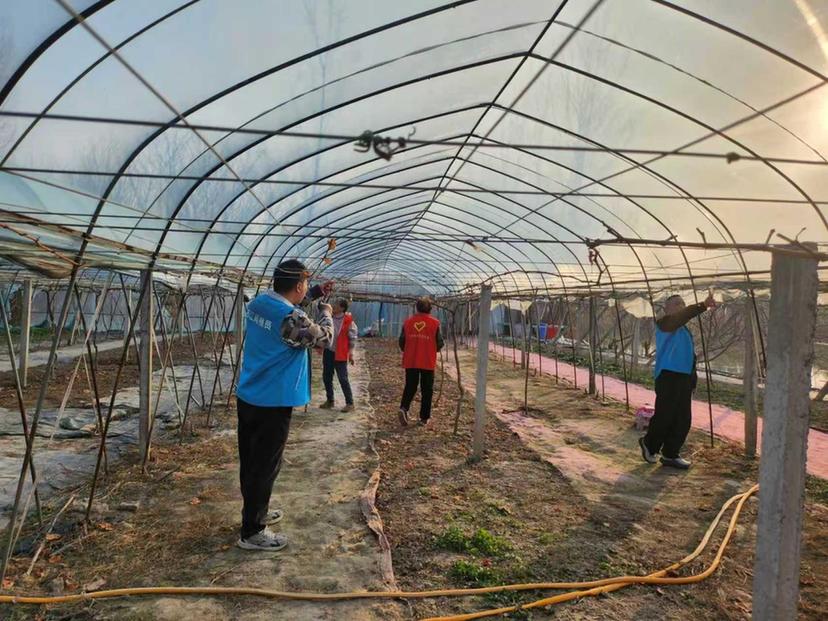 扬州瓜洲镇：走，下地去！春耕“大片”正在上演