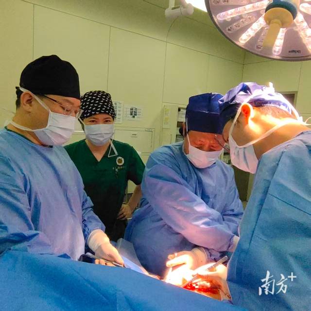 罕见病+乳腺癌陷绝境!中山一院多学科团队创新方案精准“拆弹” 罕见病+乳腺癌陷绝境!中山一院多学科团队创新方案精准“拆弹”
