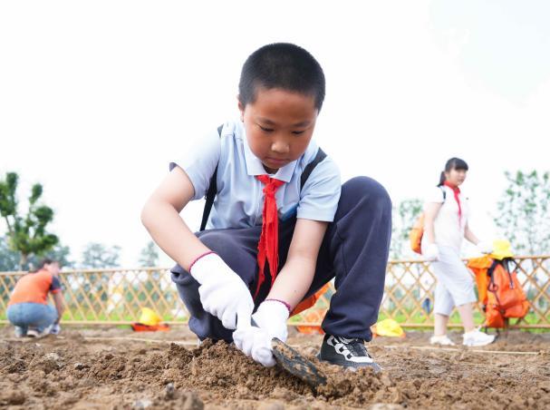 躬耕向未来，绘梦新金盏 北京金盏“小田长”开启贯穿三季的农耕之旅