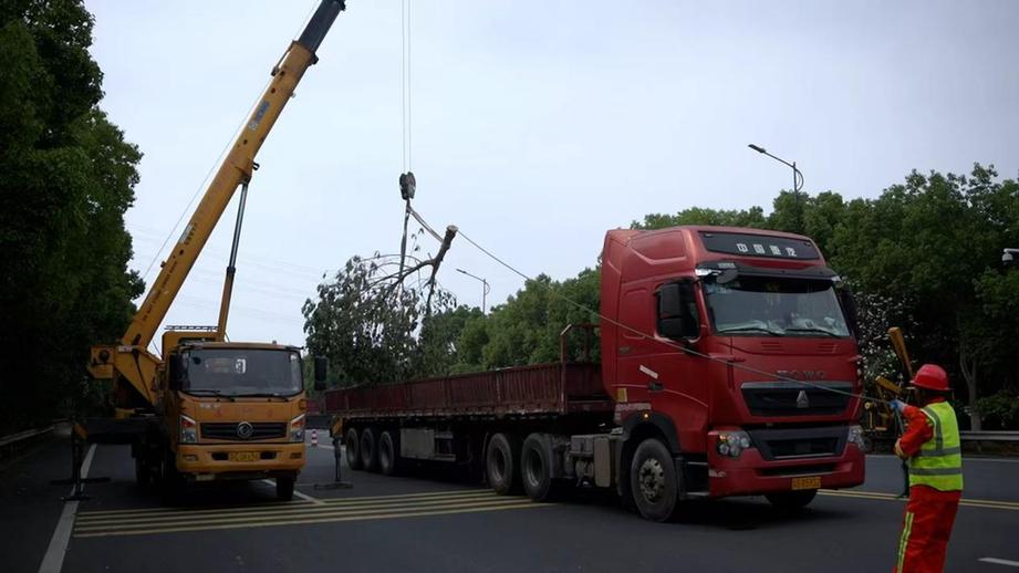 以练筑防 砺剑保通| 2026年度苏州公路市县联合应急演练圆满落幕