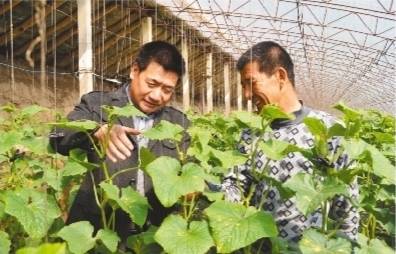 信贷员入户了解贷款农户蔬菜长势