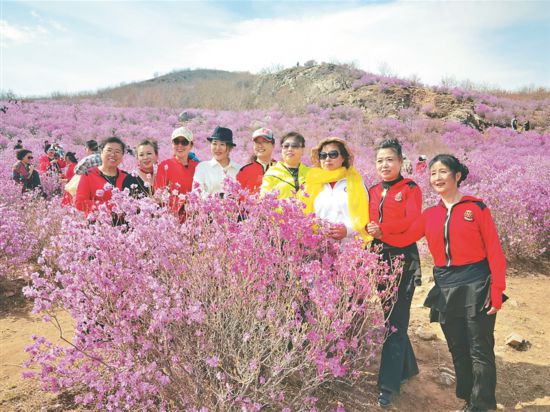 龙江县杜鹃花节开幕