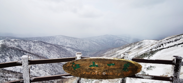 黑龙江凤凰山：山顶积雪未消 山下冰凌花绽放