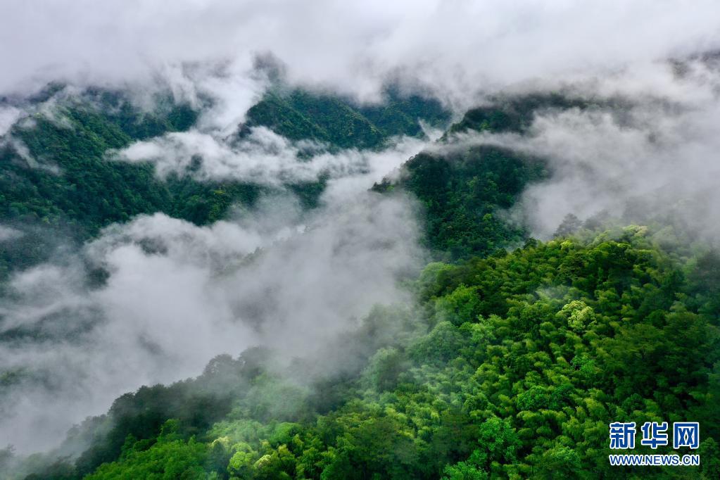 雨后武夷美